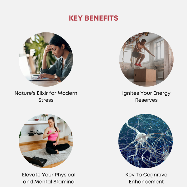 Stress Relief Combo - Image 3