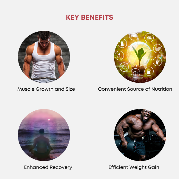 Shield Gainer - Image 2