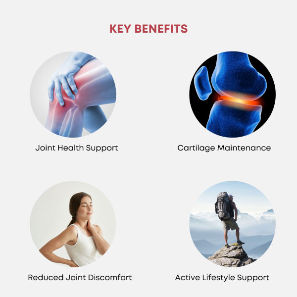 Skin and Joint Health Duo - Image 3