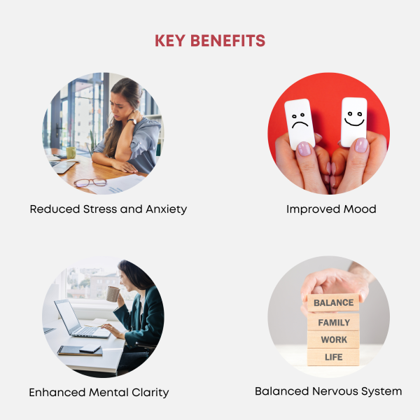 Stress Shield - Image 2